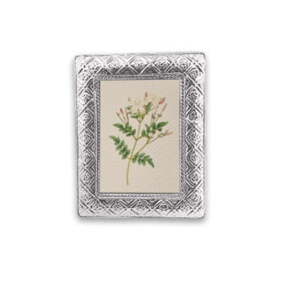 Modelo Gerbera 15x20 cm